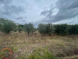 Terreno agricolo in Vendita a Latina, 20'000€, 5860 m²