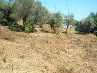 Terreno edificabile in Vendita a Crespina Lorenzana, zona Lorenzana, 71'000€, 2300 m²