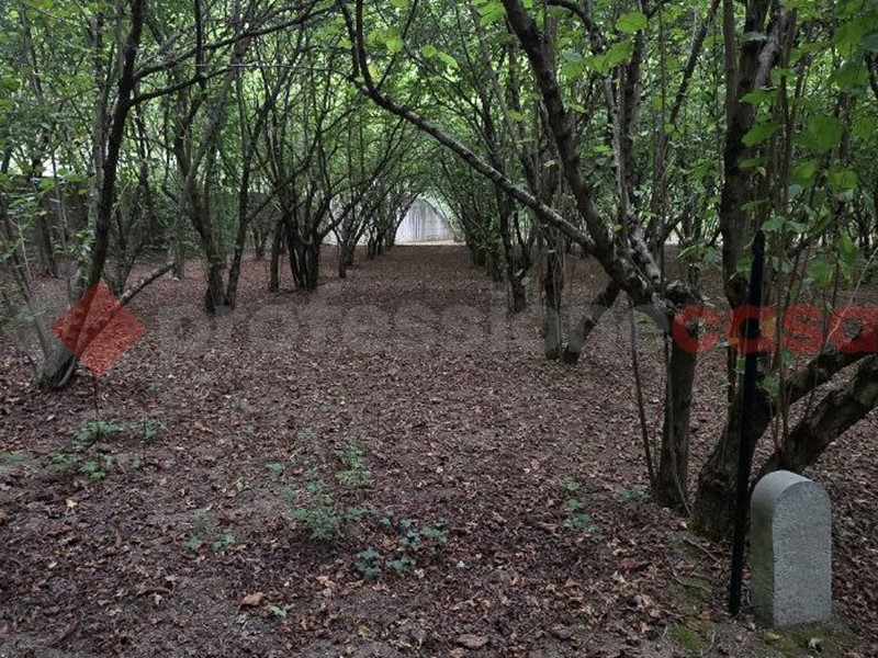 Terreno agricolo in Vendita a Avellino, 28'000&euro;, 2500 m²