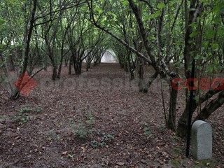 Terreno agricolo in Vendita a Avellino, 28'000&euro;, 2500 m²