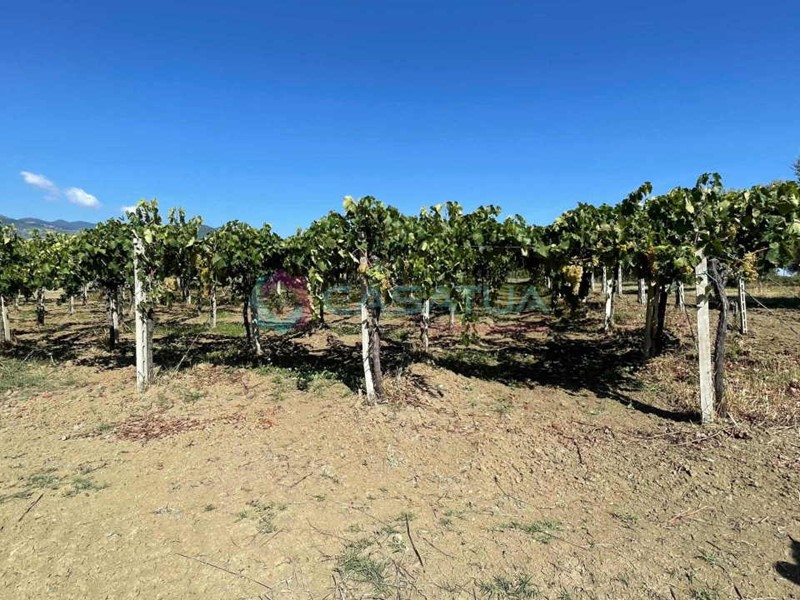 Casa Indipendente in Vendita a Civitella Casanova, 70'000€, 