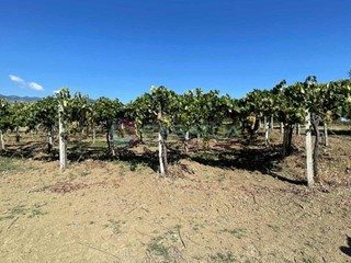 Casa Indipendente in Vendita a Civitella Casanova, 70'000€, 