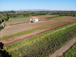 Casa Indipendente in Vendita a San Sperate, 56'000€, 52 m²