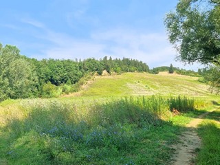 Terreno agricolo in Vendita a San Miniato, 40'000€, 80000 m²