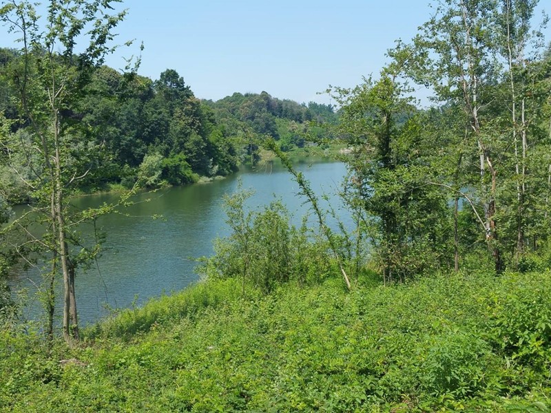 Terreno agricolo in Vendita a Pianfei, 5'000€, 5680 m²