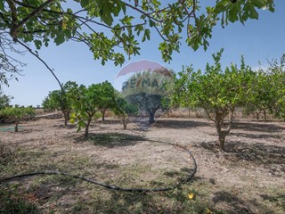 Villa in Vendita a Caltagirone, 55'000€, 75 m²