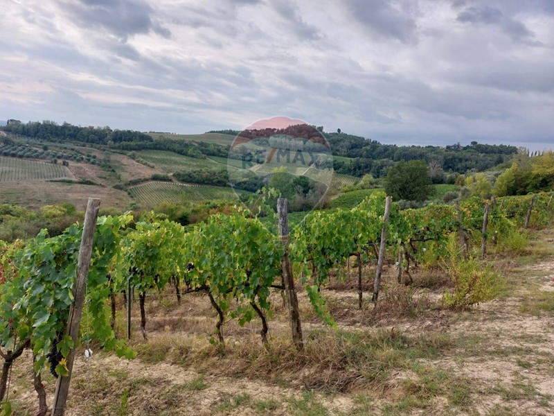 Terreno agricolo in Vendita a San Miniato, 230'000€, 111000 m²