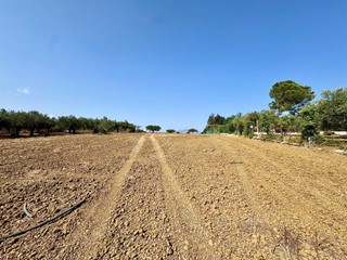 Terreno agricolo in Vendita a Partinico, 75'000€, 6093 m²