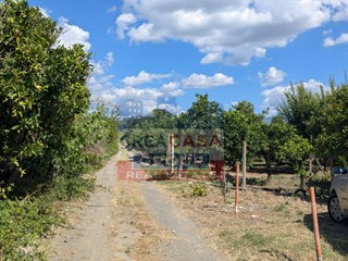 Terreno agricolo in Vendita a Calatabiano, 53'000&euro;, 5360 m²