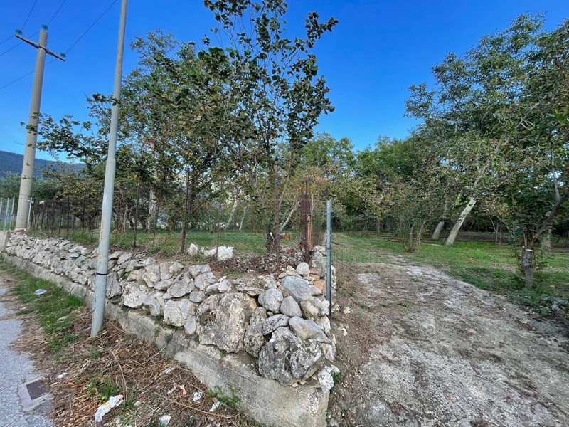 Terreno agricolo in Vendita a Avella, 28'000&euro;, 5000 m²