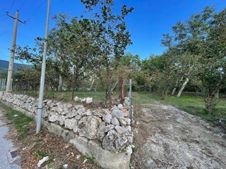 Terreno agricolo in Vendita a Avella, 28'000&euro;, 5000 m²