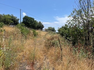 Terreno agricolo in Vendita a Belpasso, 95'000€, 19698 m²