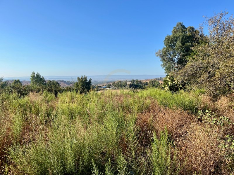 Terreno industriale in Vendita a Motta Sant'Anastasia, zona Piano Tavola, 80'000€, 1910 m²