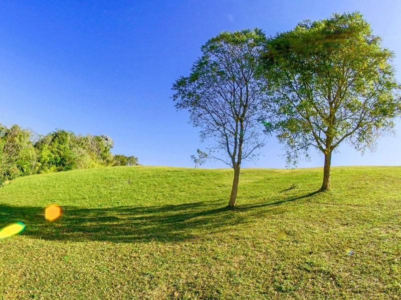 Terreno agricolo in Vendita a Santa Maria a Monte, zona San Donato, 20'000€, 6500 m²