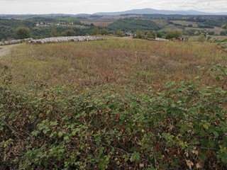 Terreno agricolo in Vendita a Poggibonsi, zona Talciona, 12'000€, 8400 m²