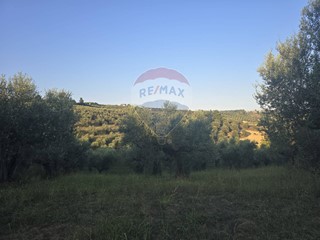 Terreno agricolo in Vendita a Moscufo, 64'000€, 29970 m²