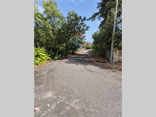 Terreno agricolo in Vendita a Acireale, 15'000€, 1360 m²