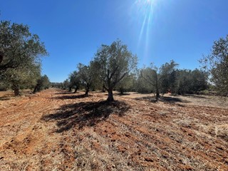 Rustico in Vendita a Andrano, 34'000€, 40 m²