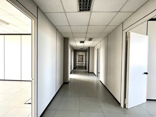 Ufficio in Affitto a Roma, 6'300&euro;, 1000 m²