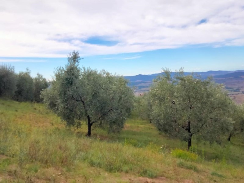 Terreno agricolo in Vendita a Volterra, 25'000€, 2500 m²