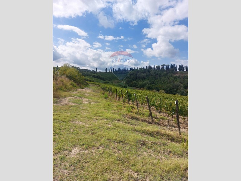 Terreno agricolo in Vendita a San Miniato, 320'000€, 90000 m²