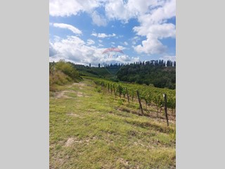 Terreno agricolo in Vendita a San Miniato, 320'000€, 90000 m²