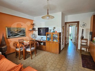 Trilocale in Vendita a Santa Maria del Cedro, 59'000€, 50 m², arredato