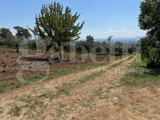 Casale in Vendita a Alife, 70'000€, 101 m²