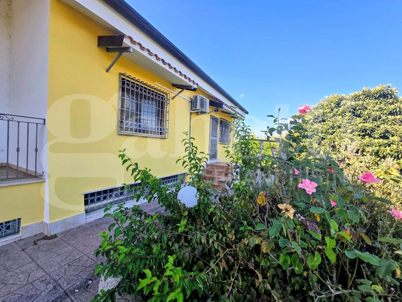 Villa in Vendita a Paliano, 460 m²