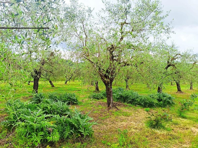 Casa Semi Indipendente in Vendita a Montecastrilli, 125'000€, 148 m², arredato