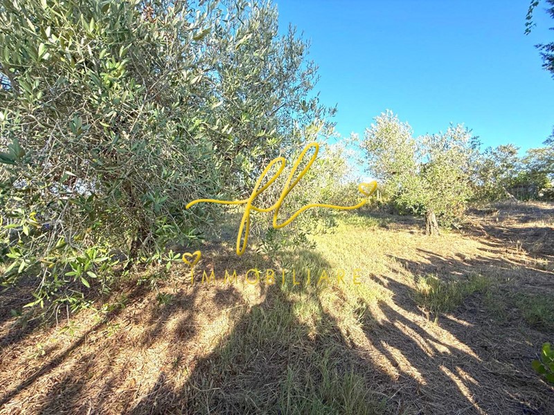 Terreno agricolo in Vendita a Cecina, 36'000€, 2815 m²