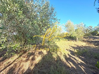 Terreno agricolo in Vendita a Cecina, 36'000€, 2815 m²
