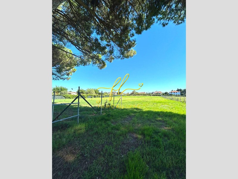 Terreno agricolo in Vendita a Cecina, 32'000€, 2790 m²