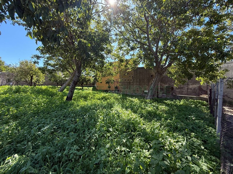 Terreno agricolo in Vendita a Roccarainola, 25'000€, 900 m²