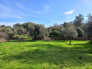 Terreno edificabile in Vendita a Nuxis, 40'000€, 2395 m²