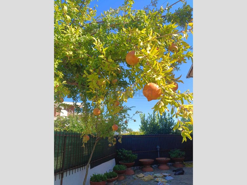 Villetta a schiera in Affitto a Cerveteri, 1'500€, 150 m²