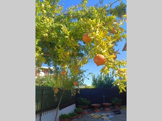 Villetta a schiera in Affitto a Cerveteri, 1'500€, 150 m²