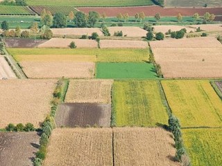 Terreno agricolo in Vendita a Santa Maria a Monte, zona Ponticelli, 10'000€, 2530 m²