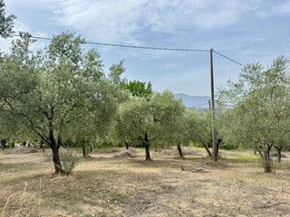 Terreno agricolo in Vendita a Fontanarosa, 15'000&euro;, 5370 m²