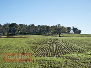Terreno agricolo in Vendita a Cesena, 195'000€, 57000 m²