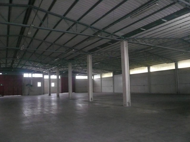 Attività commerciale in Affitto a Pisa, 3'100€, 700 m²