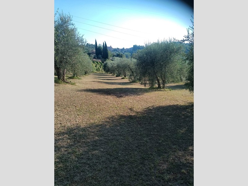 Terreno agricolo in Vendita a Terricciola, 13'000€, 4600 m²