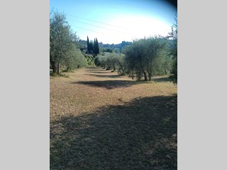 Terreno agricolo in Vendita a Terricciola, 13'000€, 4600 m²