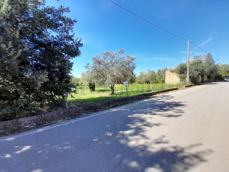Terreno edificabile in Vendita a Pastorano, 100'000€, 7000 m²