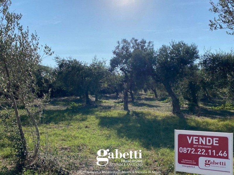 Terreno edificabile in Vendita a Treglio, 297'000€, 4730 m²