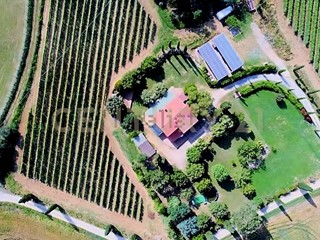 Casa Indipendente in Vendita a Roccastrada, 598'888€, 300 m², con Box