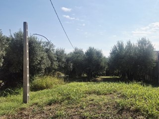 Terreno edificabile in Vendita a Torrevecchia Teatina, 39'000€, 1190 m²