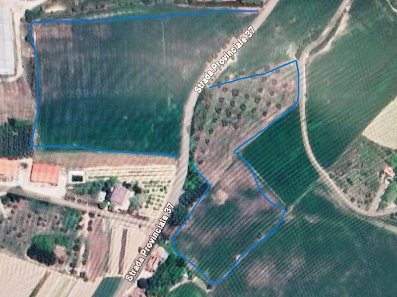 Terreno agricolo in Affitto a Francavilla d'Ete, zona contrada pieve vecchia, 10'000&euro;, 50000 m²