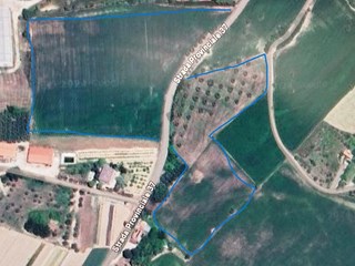 Terreno agricolo in Affitto a Francavilla d'Ete, zona contrada pieve vecchia, 10'000&euro;, 50000 m²