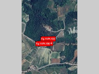 Terreno agricolo in Vendita a Borgoratto Mormorolo, 1'446€, 2803 m²